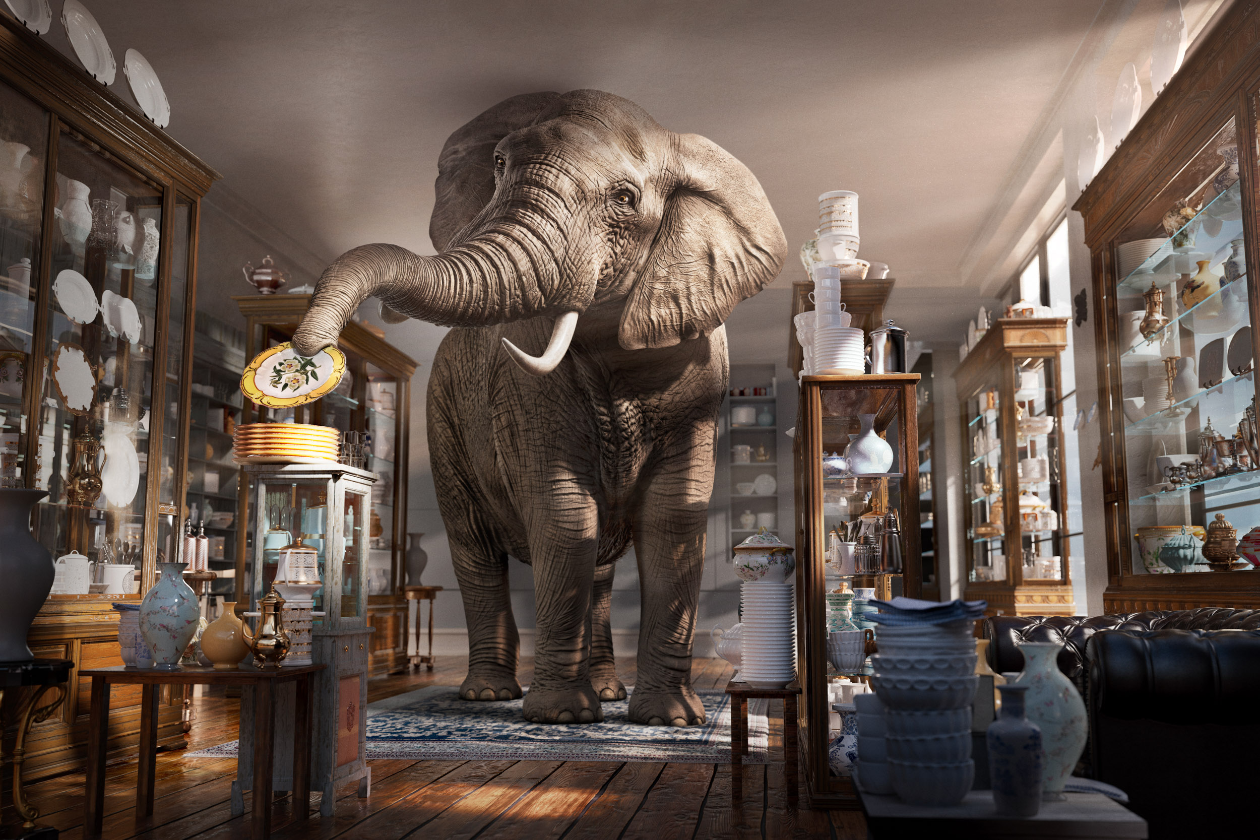 SHAW10193_Asciminib_Elephant_Angle_2_10000pxl_8bit_2c_RGB_Final copy